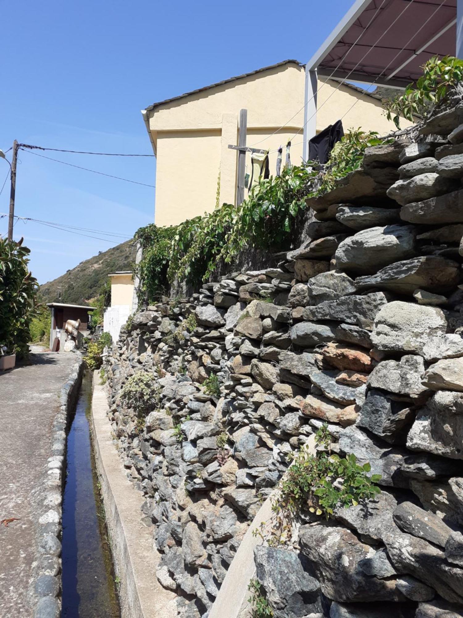 Cap Corse - Maison A 500M De La Plage Grillasca Exterior photo